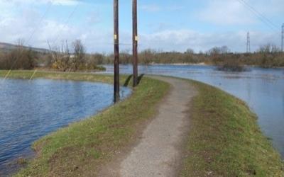 Dag van de Dijk