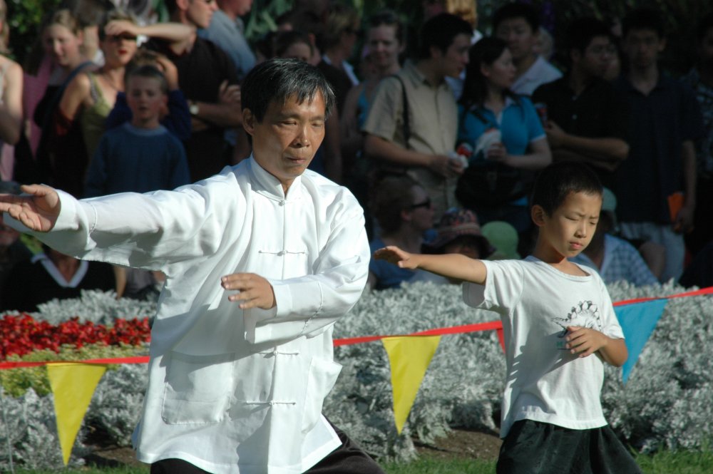 Wereld Tai Chi-Dag