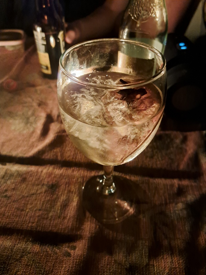 Wereld Gin Dag