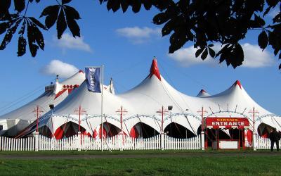 Internationale Dag van het Circus