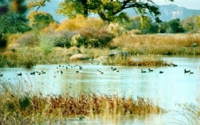 Wereld Waterlandendag