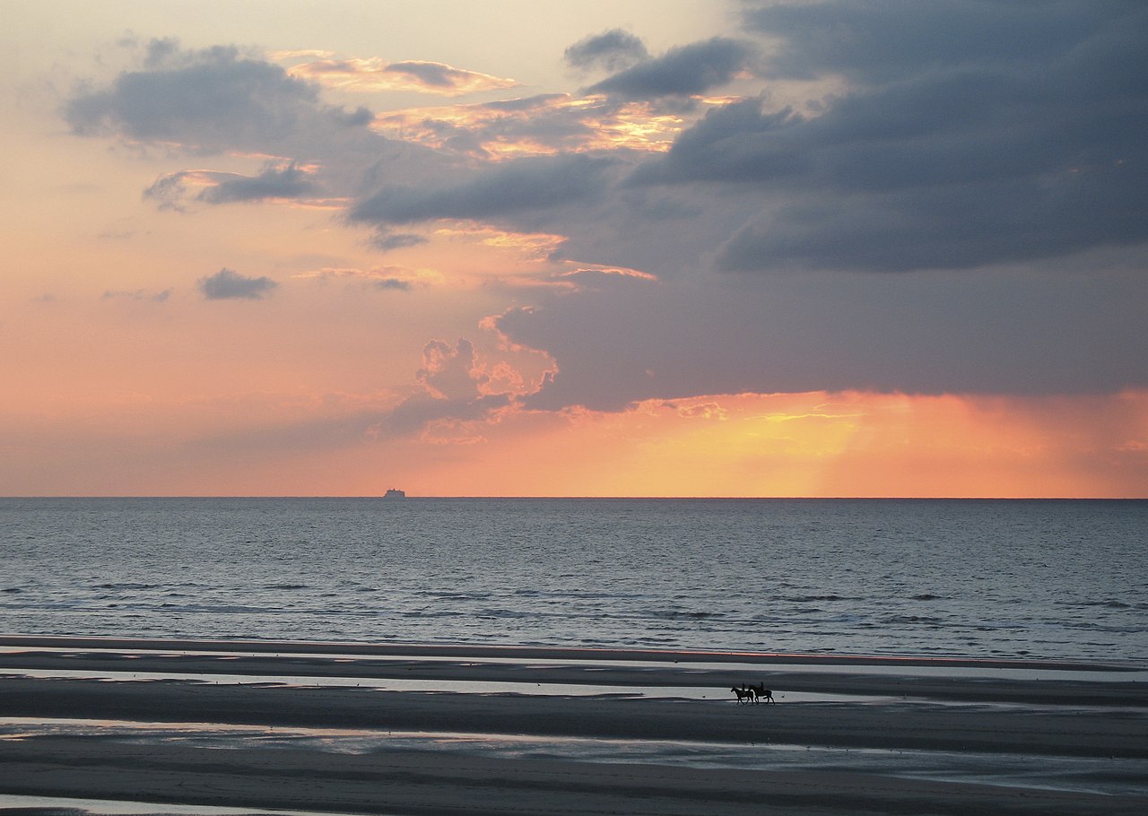 Dag van de Noordzee