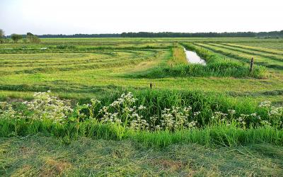 Dag van het Landschap (geannuleerd)