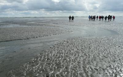 Dag van het Wad