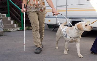 Internationale Dag van de Geleidehond