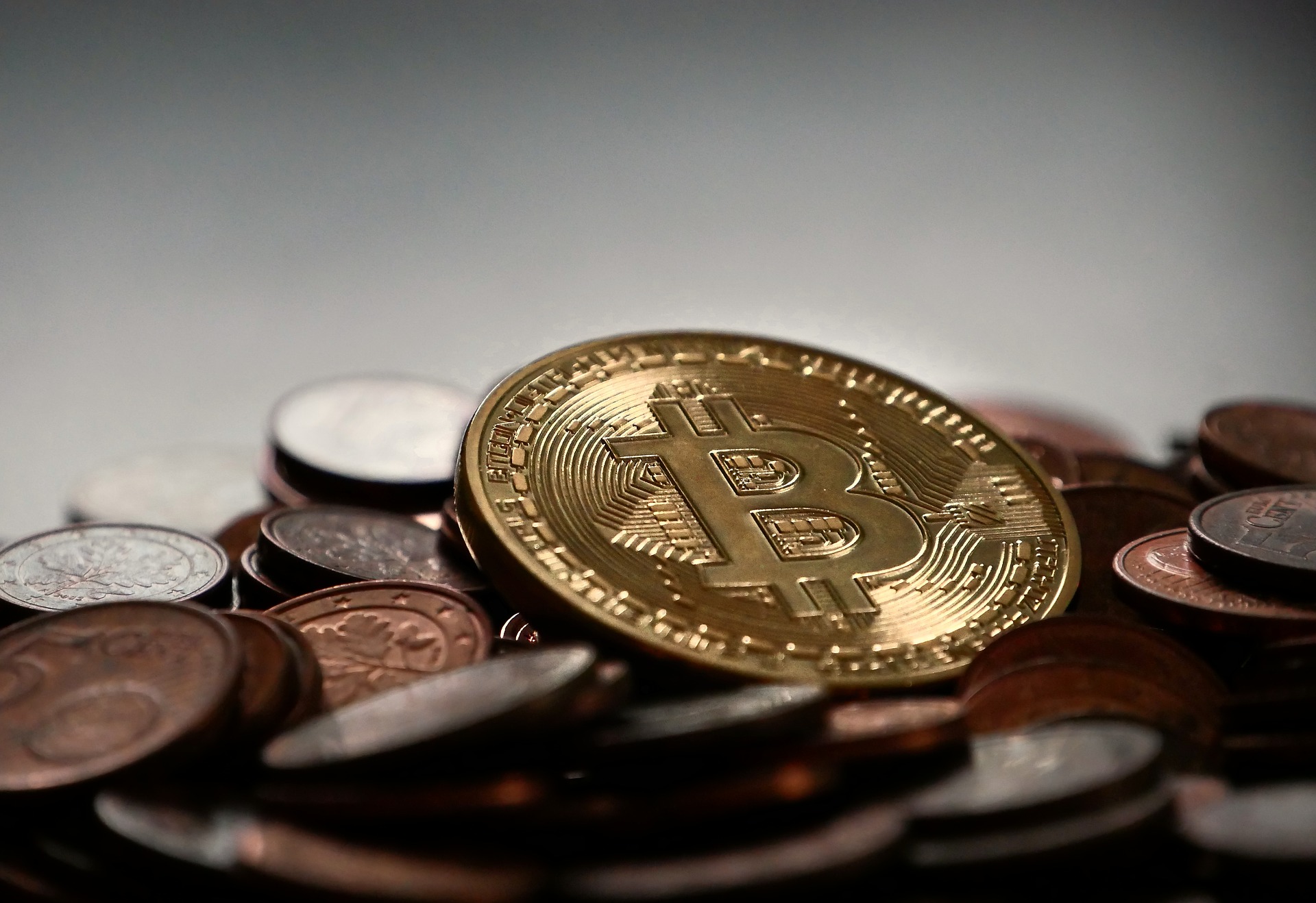 Dag van de Crypto