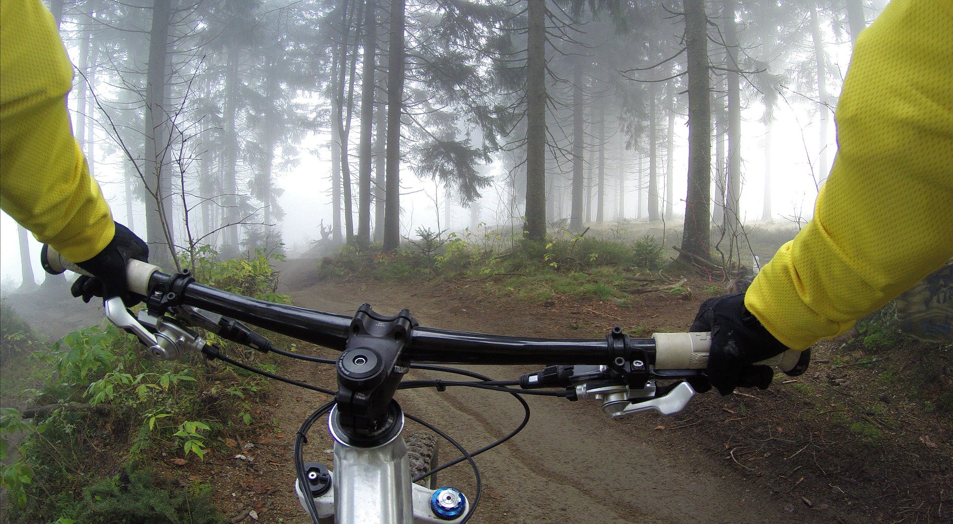 Wereldfietsdag