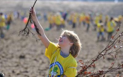 Activiteiten Nationale Boomfeestdag afgelast door harde wind