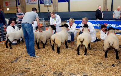 Programma Dag van het Schaap bekend